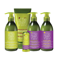 2011 - Little Green Products
